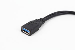 Usb 2.0 마이크로 USB3.0 BM에 USB 3.0 어 Y 케이블